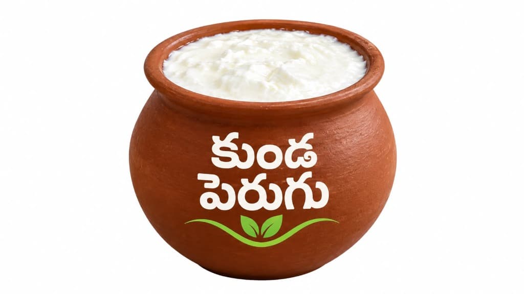 Traditional Pot Curd